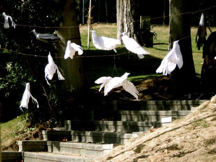 10252125_755923247773299_7256954369199867105_n