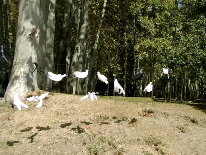 10341981_755932034439087_5061261358765349772_n