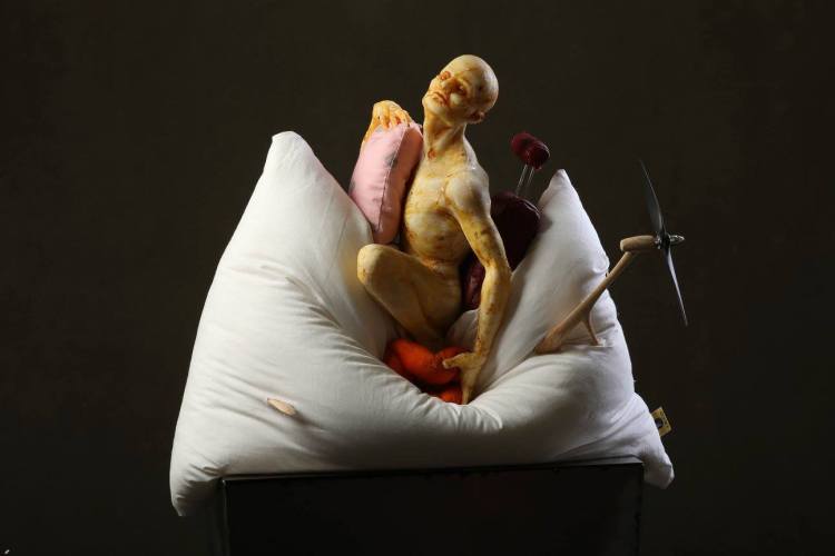 12087949_887375531338448_6266777126841175855_o