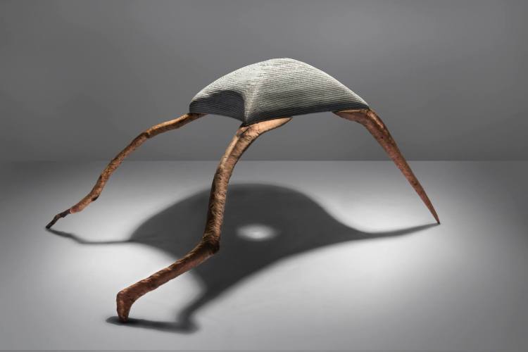 1397306_10200686600667324_581977485_o